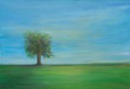 /album/baume/baum-3-von-17-jpg/